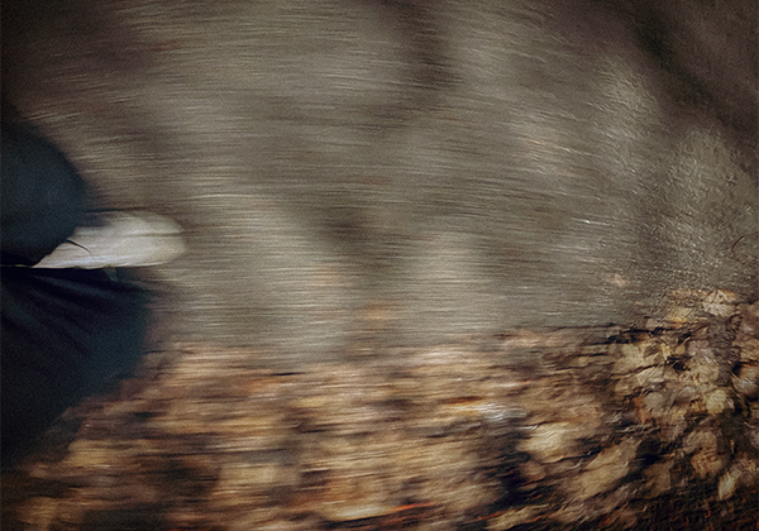 dd_runners_1_portrait